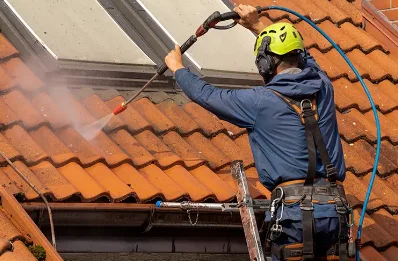 Démoussage et hydrofuge de toiture à Lisses